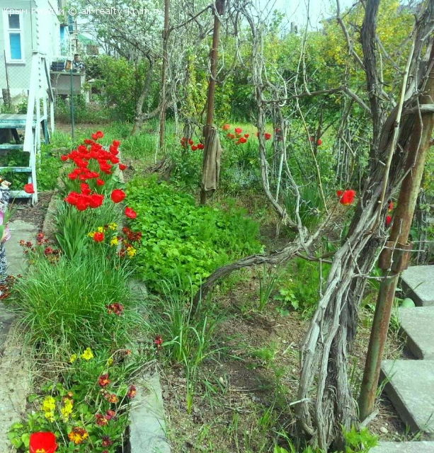 Объявления Крыма Евпатория. Продам дом в пригороде Евпатории,сад тов "Весна". Цена: 16000р.
